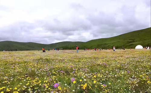 稻城亞丁在哪兒  川西康巴藏區稻城亞丁旅游攻略2017