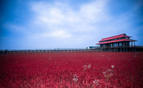 紅海灘自駕游攻略 盤錦有什么旅游景點