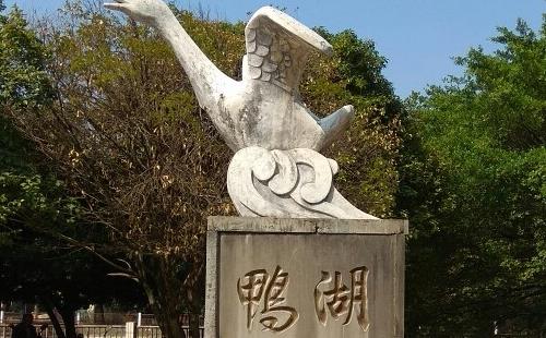 桂林鴨湖公園門票 桂林鴨湖公園游記