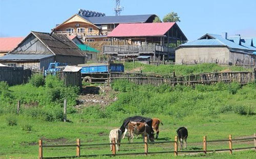 室韋俄羅斯民族鄉住宿推薦 室韋俄羅斯民族鄉住在哪里