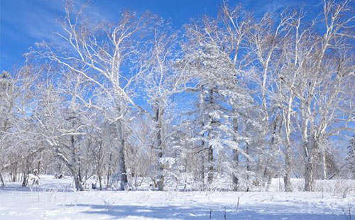 雪鄉羊草山門票價格 羊草山游玩攻略