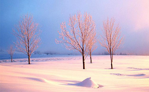 雪鄉在哪 雪鄉怎么去