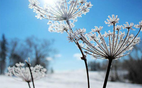 雪鄉自駕游攻略 哈爾濱到雪鄉自駕怎么去