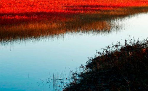 盤錦紅海灘怎么去 盤錦紅海灘自駕怎么走