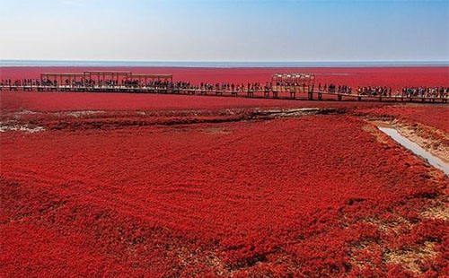 紅海灘風景廊道圖片 紅海灘風景廊道風景圖