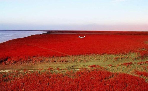 紅海灘風景廊道門票多少錢 紅海灘風景廊道門票價格