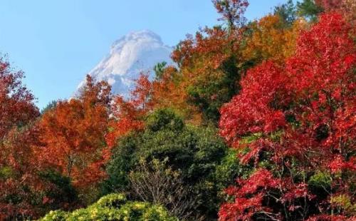 新豐云髻山紅葉節(jié)最佳觀賞時間+自駕路線