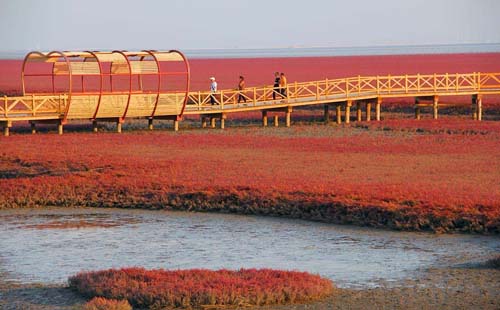 2018紅海灘廊道旅游攻略 紅海灘廊道怎么走