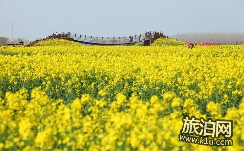 2018漢中油菜花什么時(shí)候開(kāi) 漢中油菜花賞花攻略