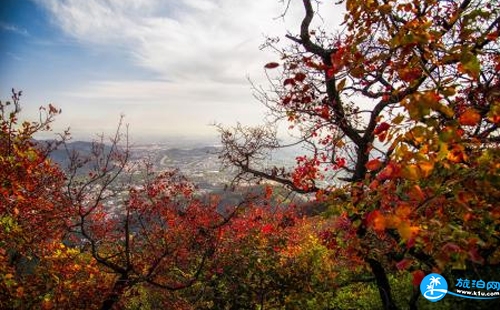 北京香山公園門票多少錢 香山公園在哪停車