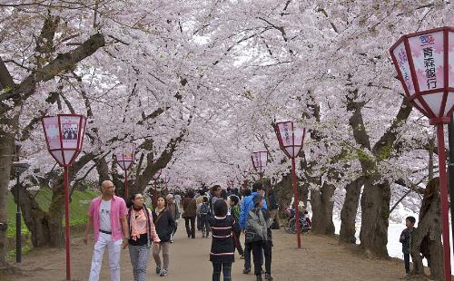 2018杭州雙浦櫻花節攻略(門票+自駕游路線)