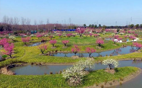 2018上海金山田野百花節門票價格+時間+地址