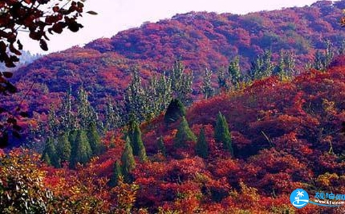 2018北京香山門票+路線+游園須知