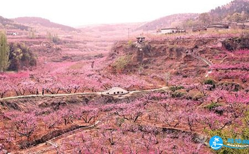 2018湖南桃花源門票+交通