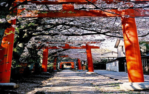 畢業旅行去日本哪里好