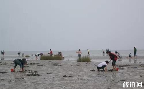 山東哪里趕海好 山東趕海的地方在哪