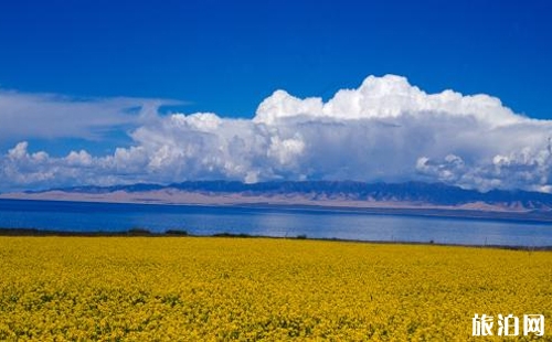 青海湖敦煌大環線攻略 青海湖敦煌大環線玩幾天