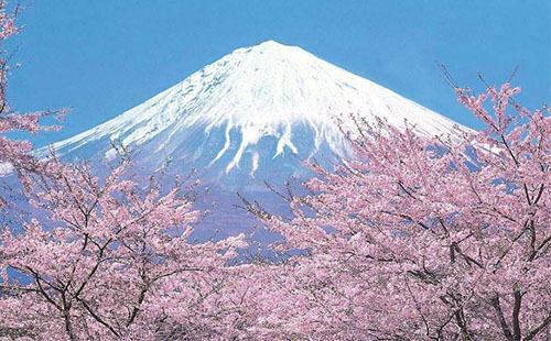 夏天可以去富士山嗎 夏天去富士山合適嗎