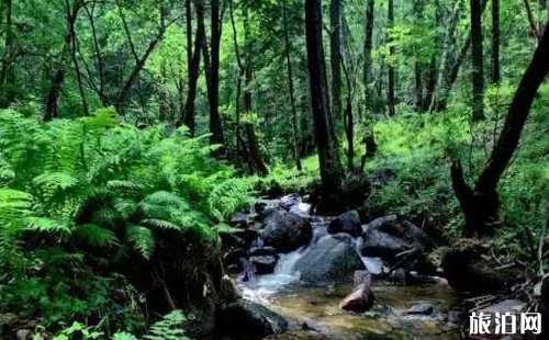 山西避暑哪里好 山西避暑勝地介紹