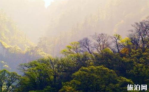 雅安寶康路 川西自駕游新通路線