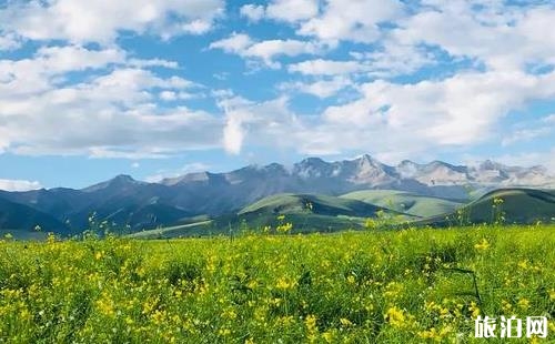 祁連山旅游攻略