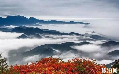 嵩山登山年證辦理地點 嵩山登山證辦理條件