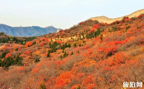 2019巫山紅葉節(jié)時間+地點(diǎn)+門票+最佳觀賞點(diǎn)