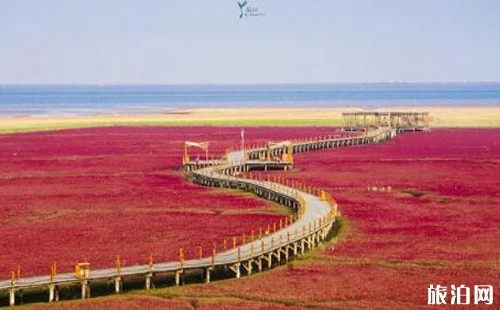 遼寧盤錦紅海灘門票 遼寧盤錦紅海灘好玩嗎