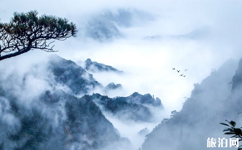 黃山北站出來怎么坐車