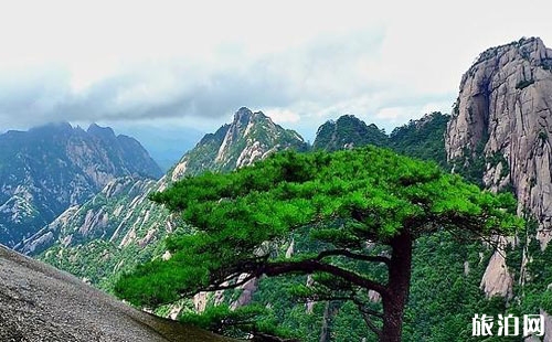 怎么去黃山風景區 黃山風景區索道門票多少錢