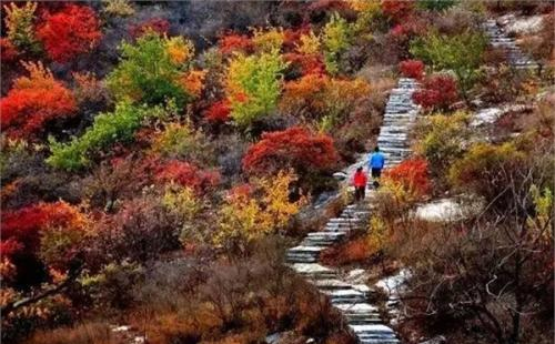 2018北京坡峰嶺紅葉節(jié)門票+時間+地點(diǎn)+交通