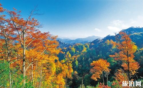 2018成都光霧山紅葉節(jié)時間+交通路線推薦