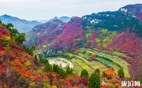 2018沂源鳳凰山紅葉節(jié)是什么時候開始