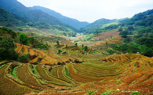 篁嶺有哪些景點(diǎn) 婺源風(fēng)景區(qū)怎么去