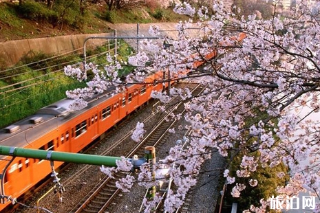 日本探親訪友簽證材料有哪些 日本探親訪友簽證詳細