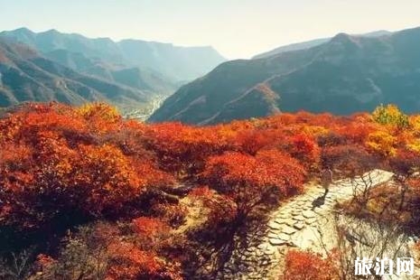 2018年第七屆幽嵐山坡峰嶺紅葉節(jié) 北京上方山紅葉觀賞攻略