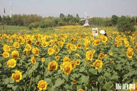 黃石周邊游賞花旅游去哪好