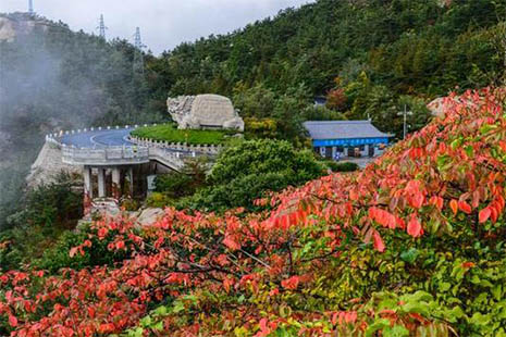 2018青島嶗山門票優(yōu)惠政策 嶗山旅游直通車信息