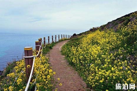 濟州旅游巴士怎么坐 濟州市外巴士客運站攻略 濟州島公交車價格+攻略