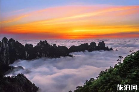 黃山山頂住宿多少錢 黃山山頂住宿哪里最好