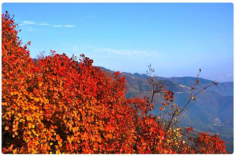 北京看紅葉香山公園游玩攻略