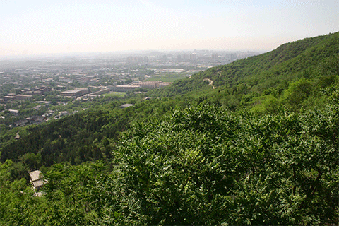 北京八大處游玩攻略(門票+開放時間+地址交通指南)