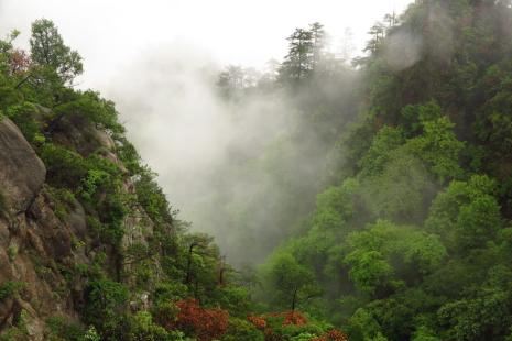 南寧大明山有霧凇了嗎 2019南寧大明山游客限流時間+人數