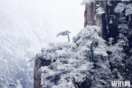 黃山下雪了嗎 黃山冬天好玩嗎