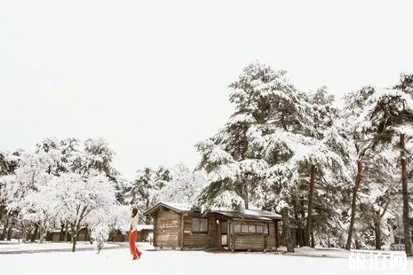 2019輕井澤滑雪攻略