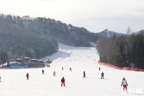 韓國滑雪攻略 2019華川山鱒魚冰雪節(jié)時間+地點