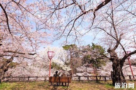 2019日本櫻花時間預(yù)測+最佳地點推薦 北海道賞櫻時間地點