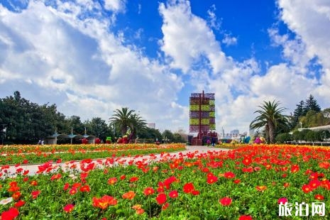 2019北京世園會門票+地址+售票時間+開展時間