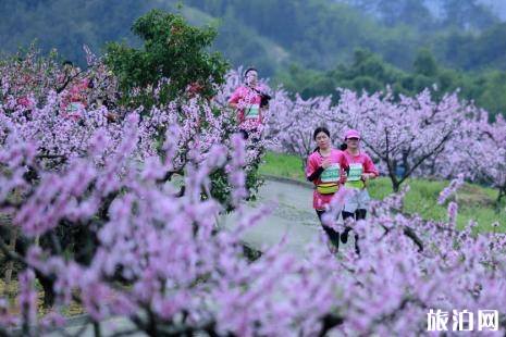 2019奉化桃花馬拉松時間+地址+物資裝備領取時間