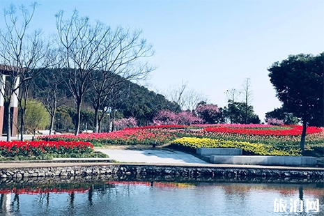 2019東錢湖郁金香花展 門票+時間+地點